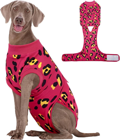 Dog Recovery Suit — Post-Surgery Coverage for Male & Female Dogs, Soft & Stretchy (XS–2XL)