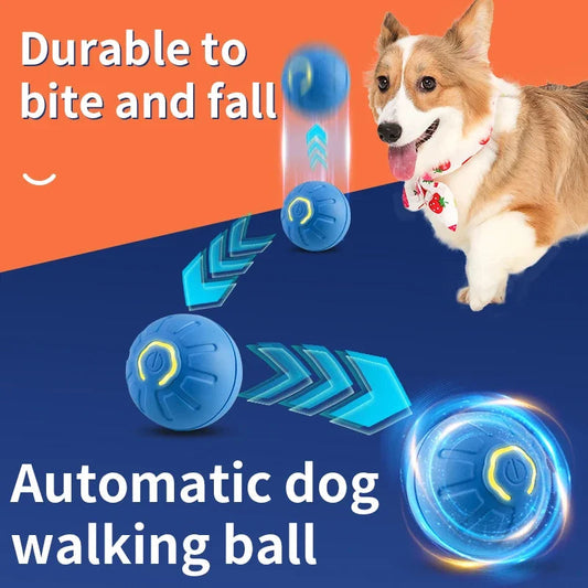 Dog Toy Ball
