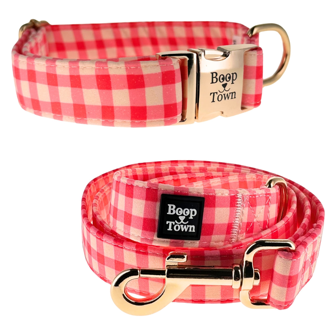 Dog Collar and Leash Set