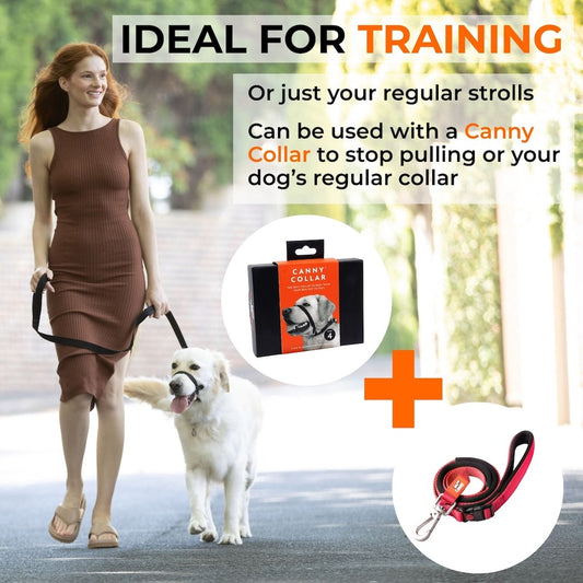 Canny Lockable Leash