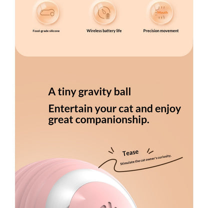 Cat Toy Ball