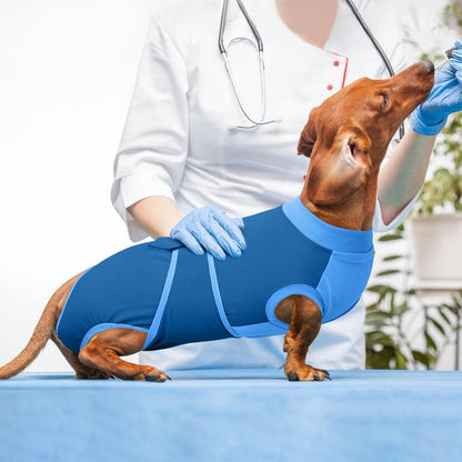 Female Dog Recovery Suit — Post-Spay & Surgery Coverage, Soft & Breathable (XS–2XL)