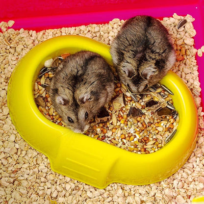Small Hamster Cage