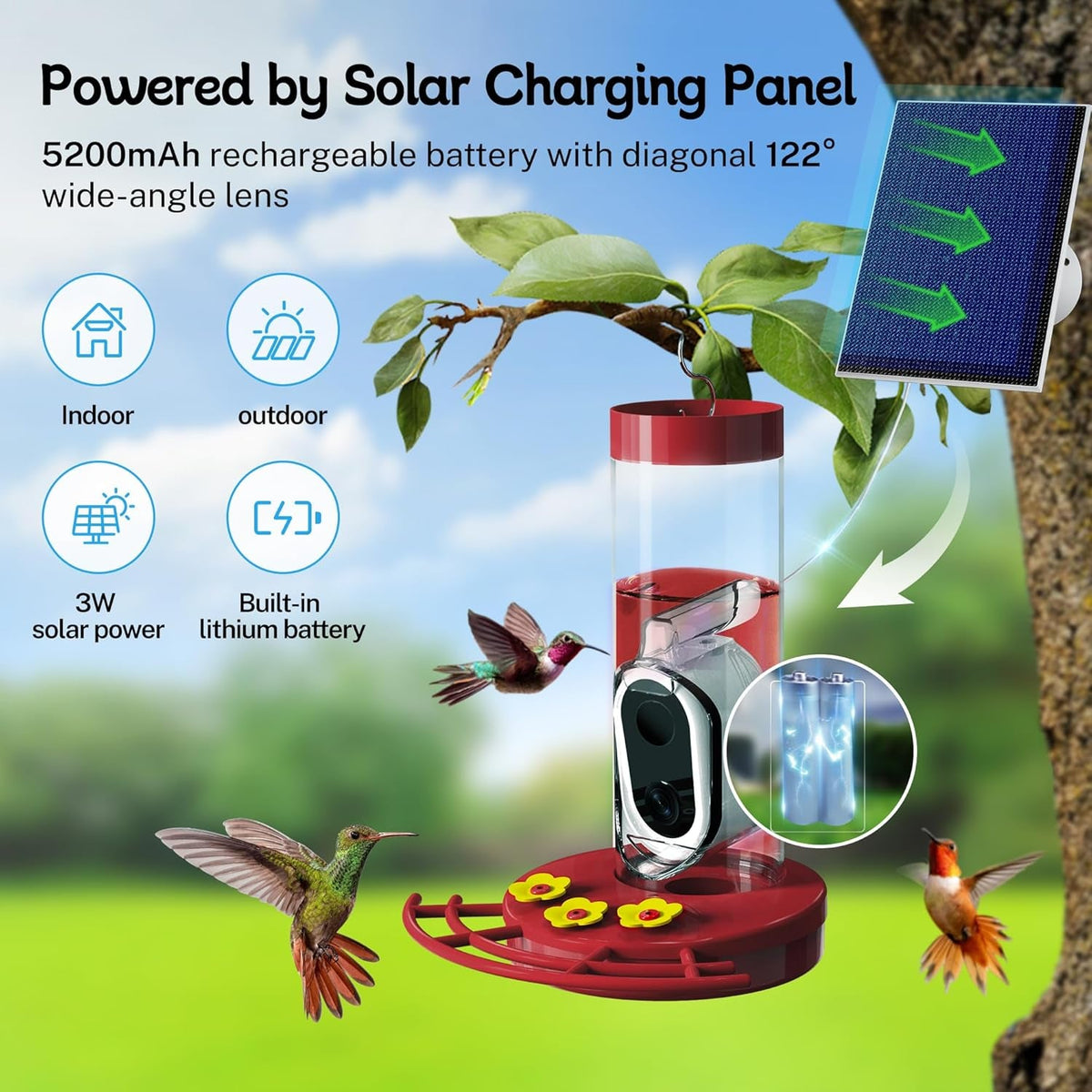 Hummingbird Feeder Camera