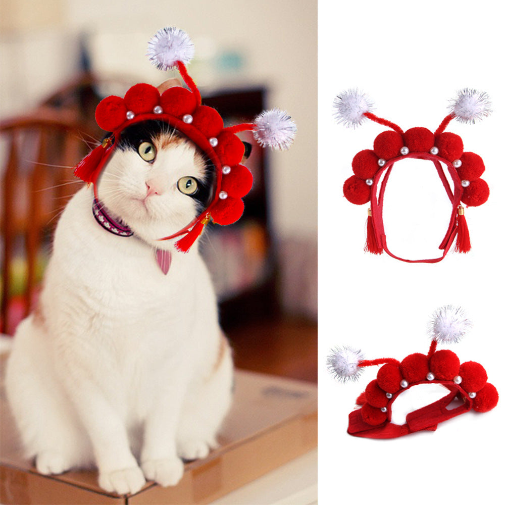 Funny Pet Costume