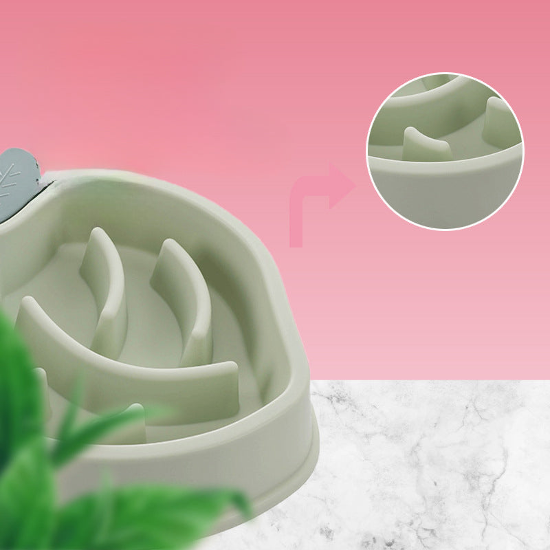 Pet Feeding Bowls