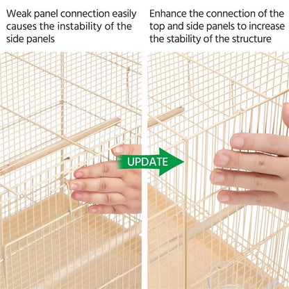 Bird Cage