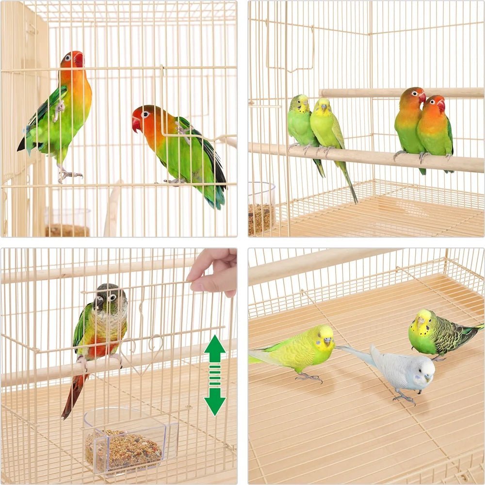 Bird Cage