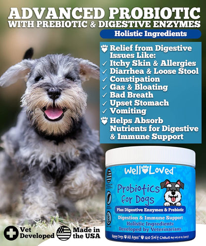 Probiotics for Dogs