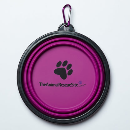 Silicone Pet Bowl
