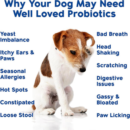 Probiotics for Dogs