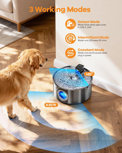 Wireless Water Fountain