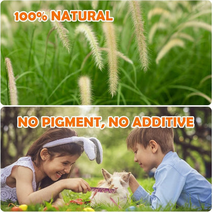 32Pcs Timothy Hay Sticks