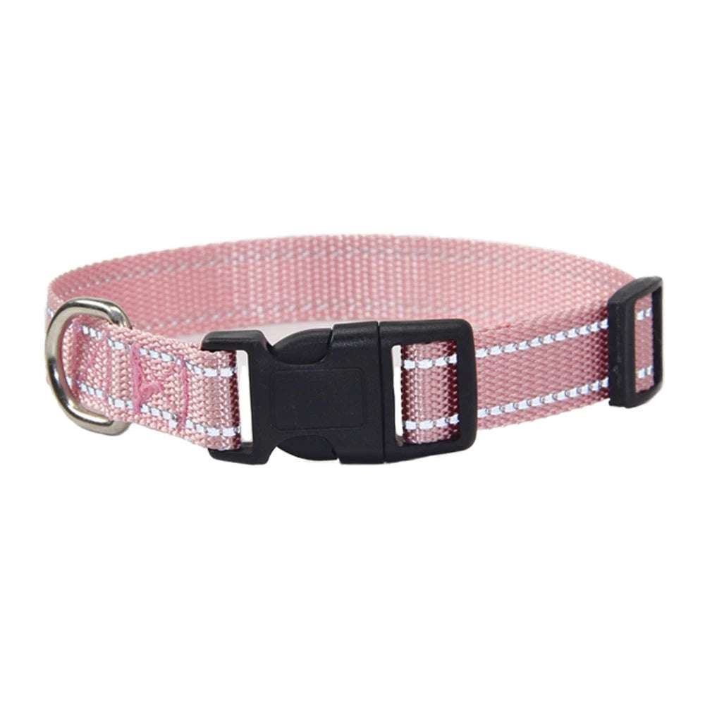 Nylon Dog Collar and Leash Set