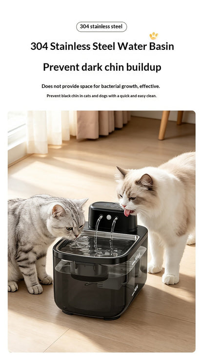 Pet Water Fountain