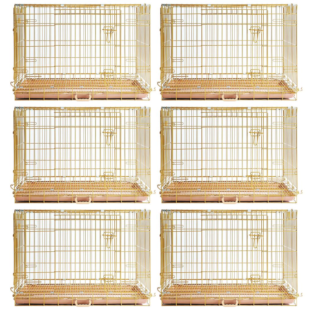 Collapsible Dog Crate — Escape-Proof, Foldable Metal Crate for Training & Travel