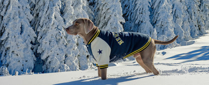 Warm Dog Varsity Jacket