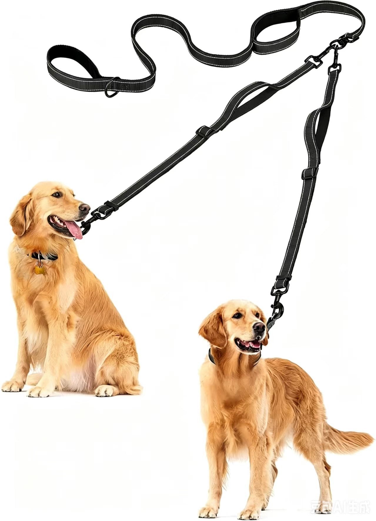 Double Leash Nylon