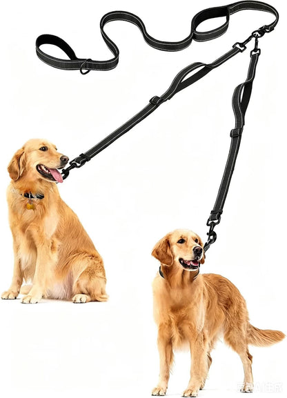 Double Leash Nylon