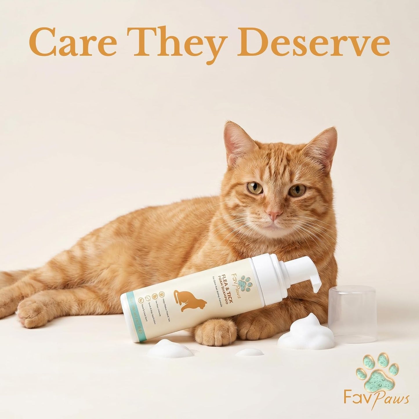 Cat Grooming Kit