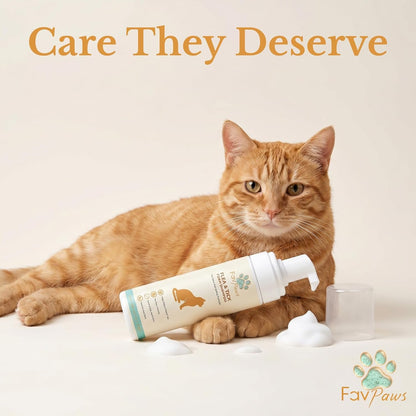 Cat Grooming Kit