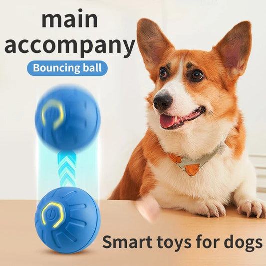 Dog Toy Ball