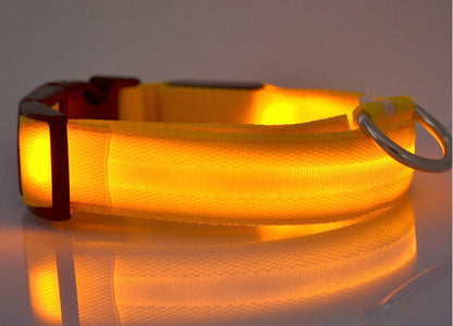 Glow in Dark Dog/Cat Leash
