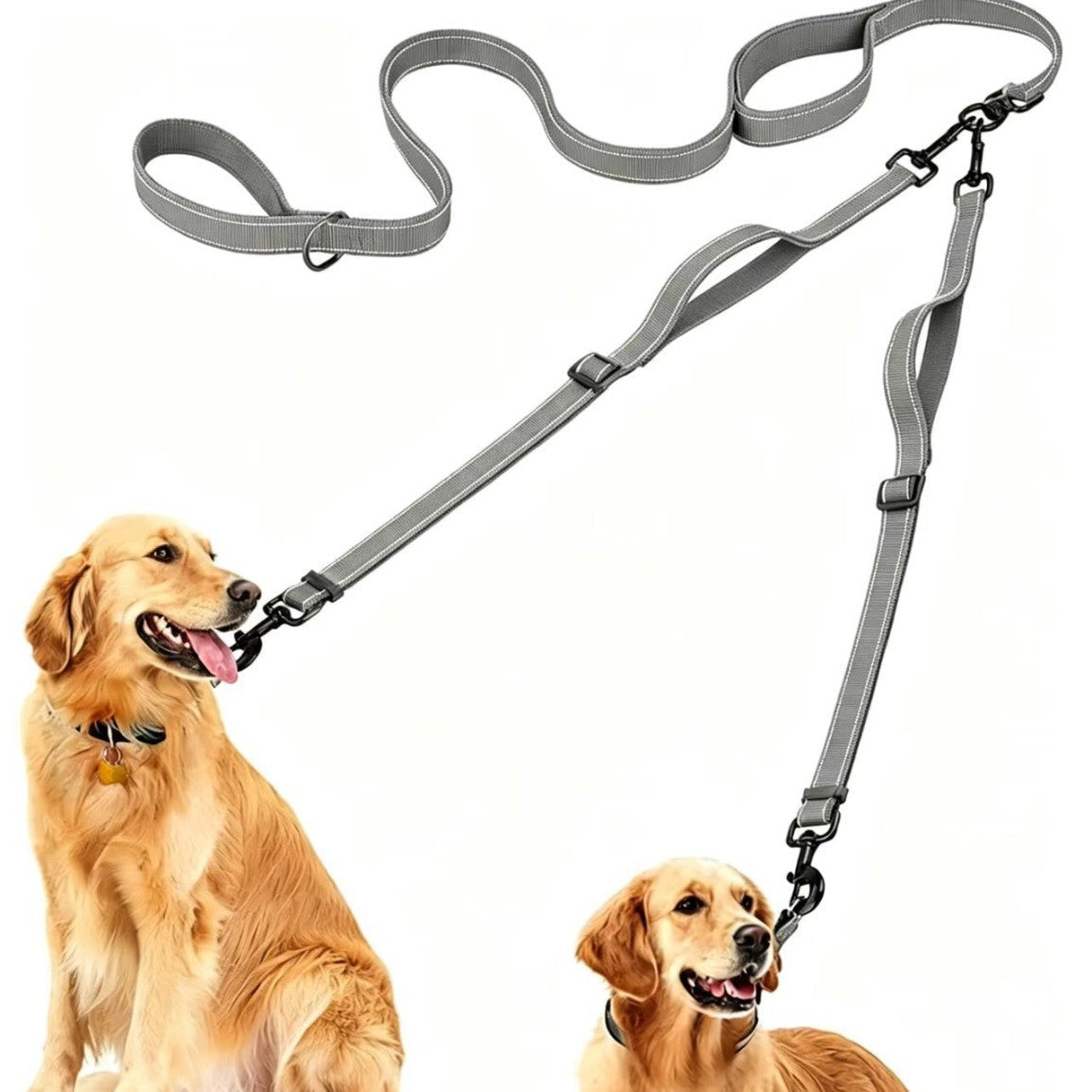 Double Leash Nylon