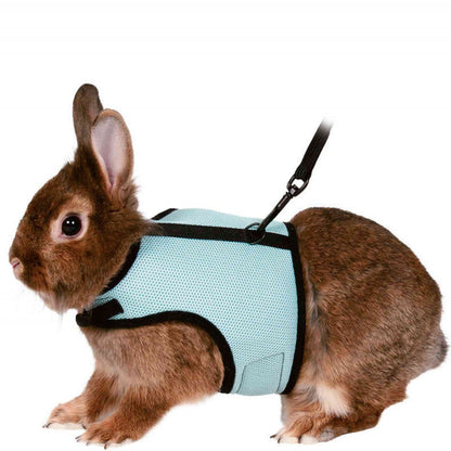 Bunny, Hamster Harness Leash