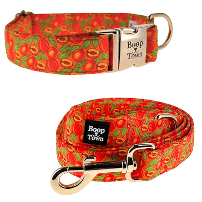 Dog Collar and Leash Set