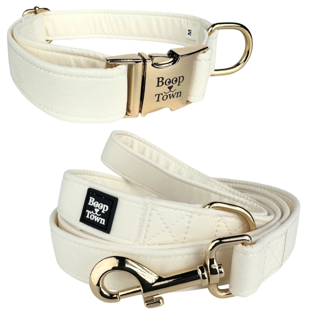 Dog Collar and Leash Set