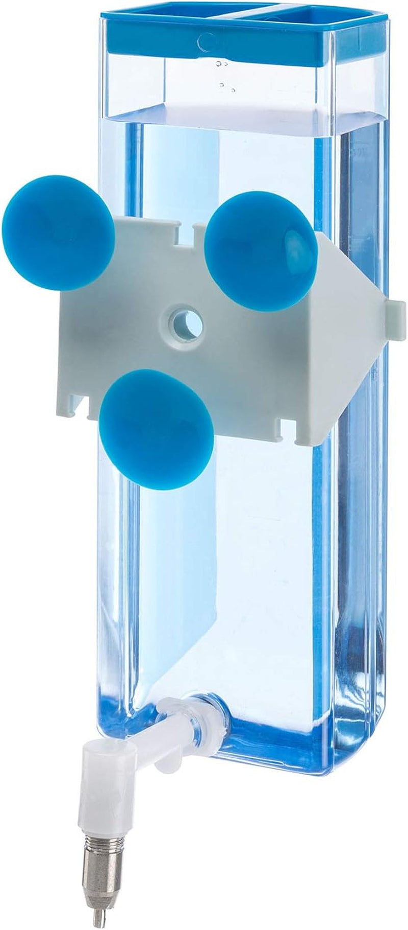 Animal Water Bottle