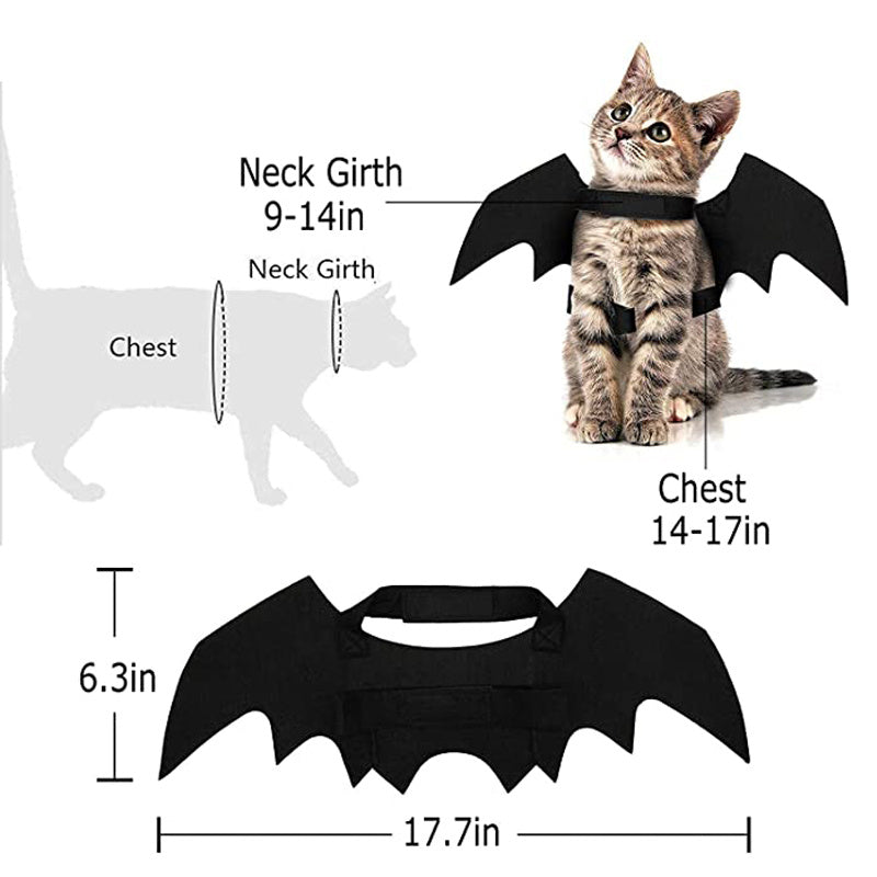 Bat Cat Wings