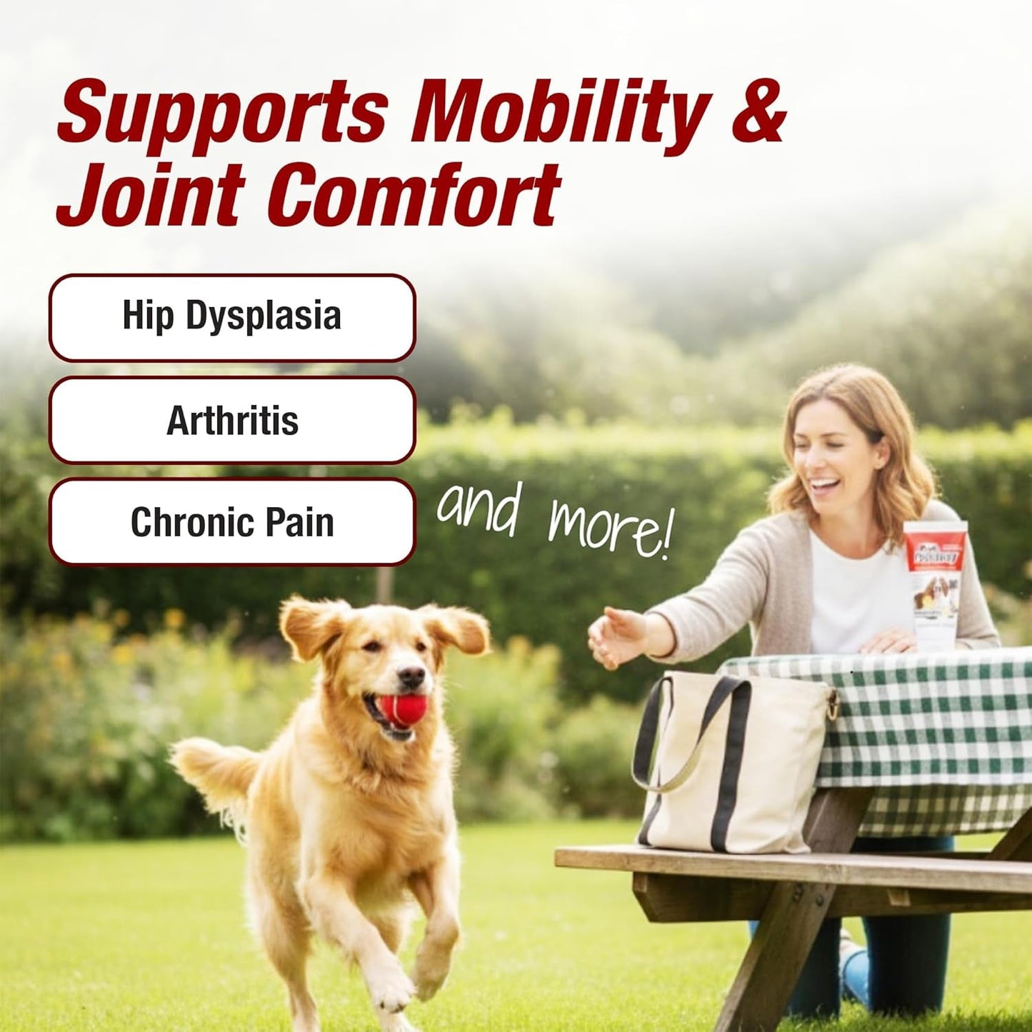 Pet Pain Relief