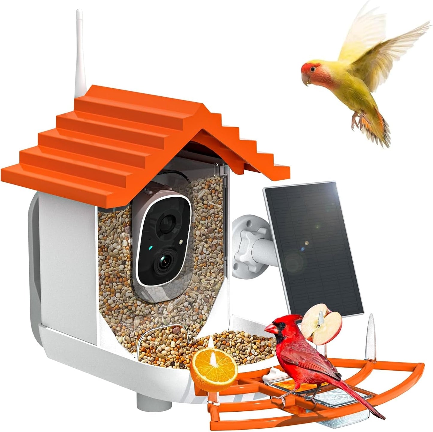 Bird Feeder Camera
