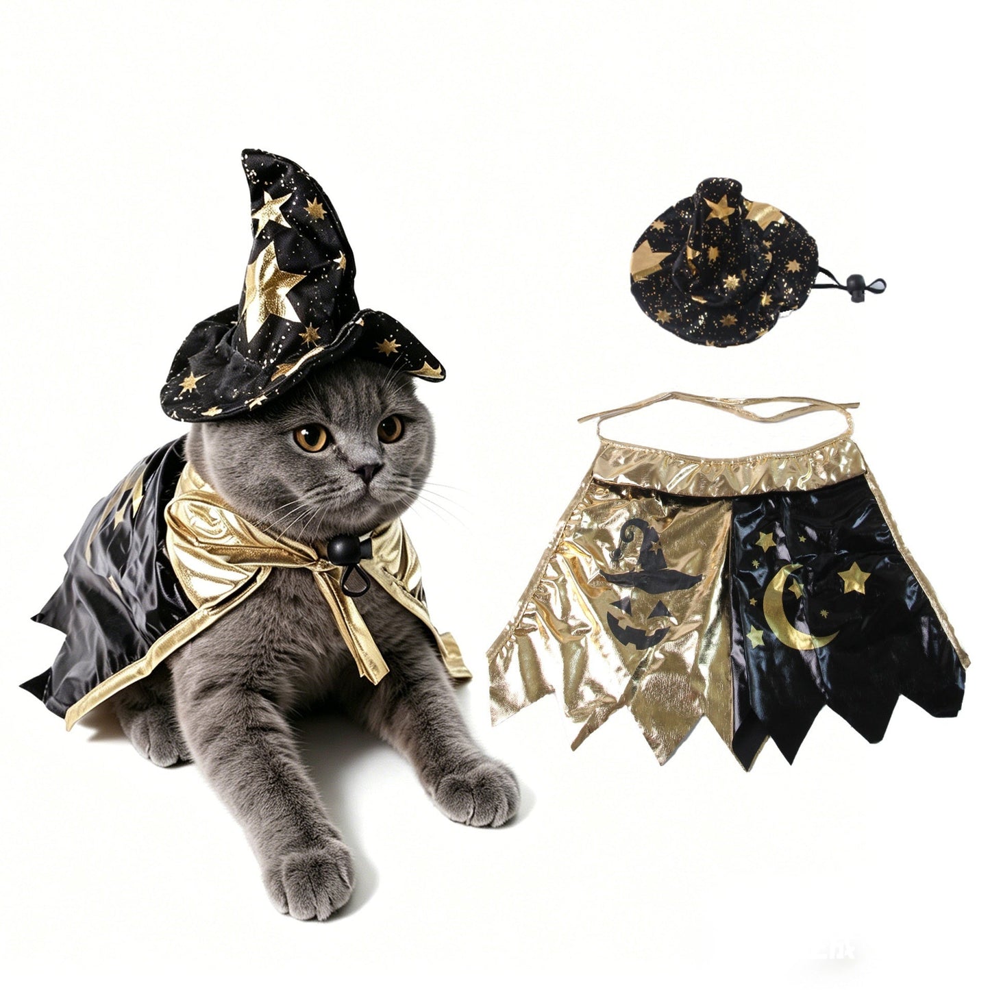 Pet Costume