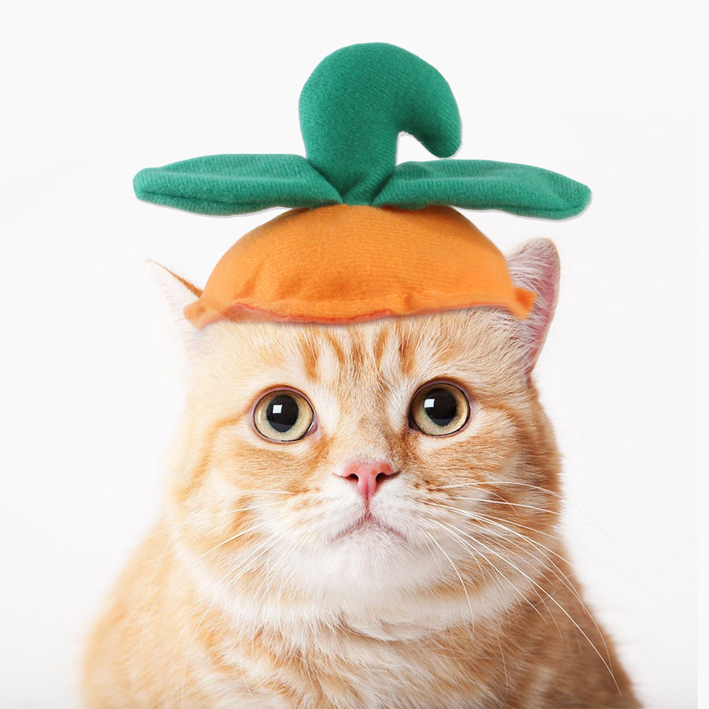 Funny Pet Costume