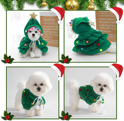 Cat Christmas Outfit