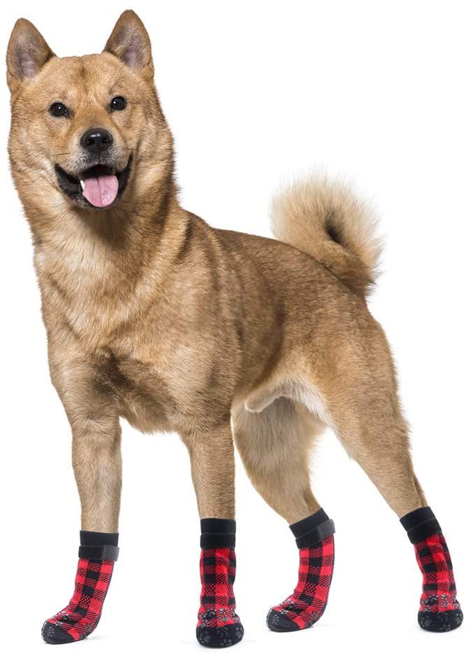 Dog Cotton Socks