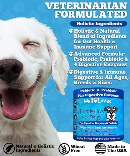 Probiotics for Dogs