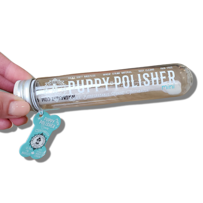 Puppy Polisher Toothbrush