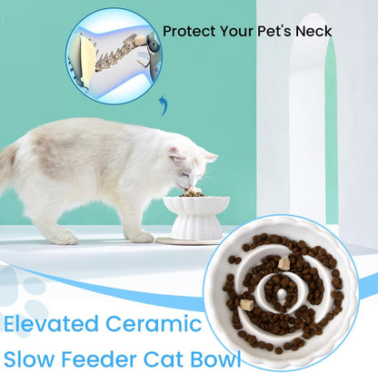 Ceramic Slow Feed Dish