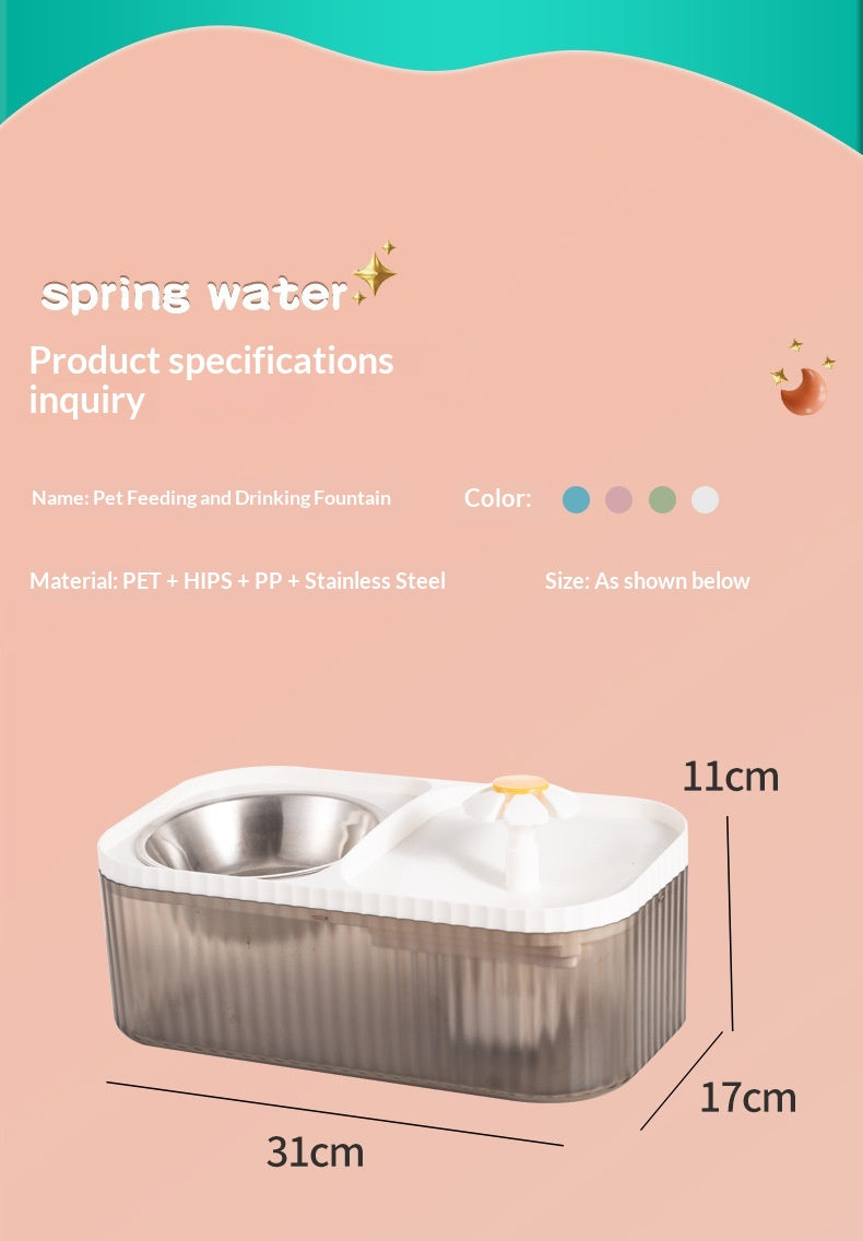 Automatic Water Dispenser