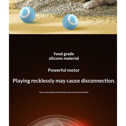 Cat Toy Ball