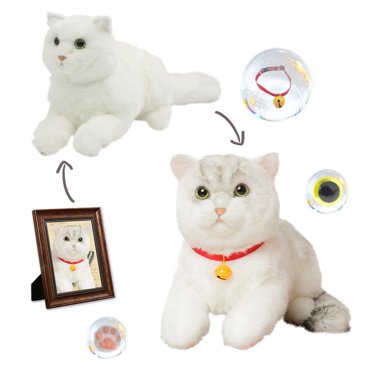 Custom Cat Plush