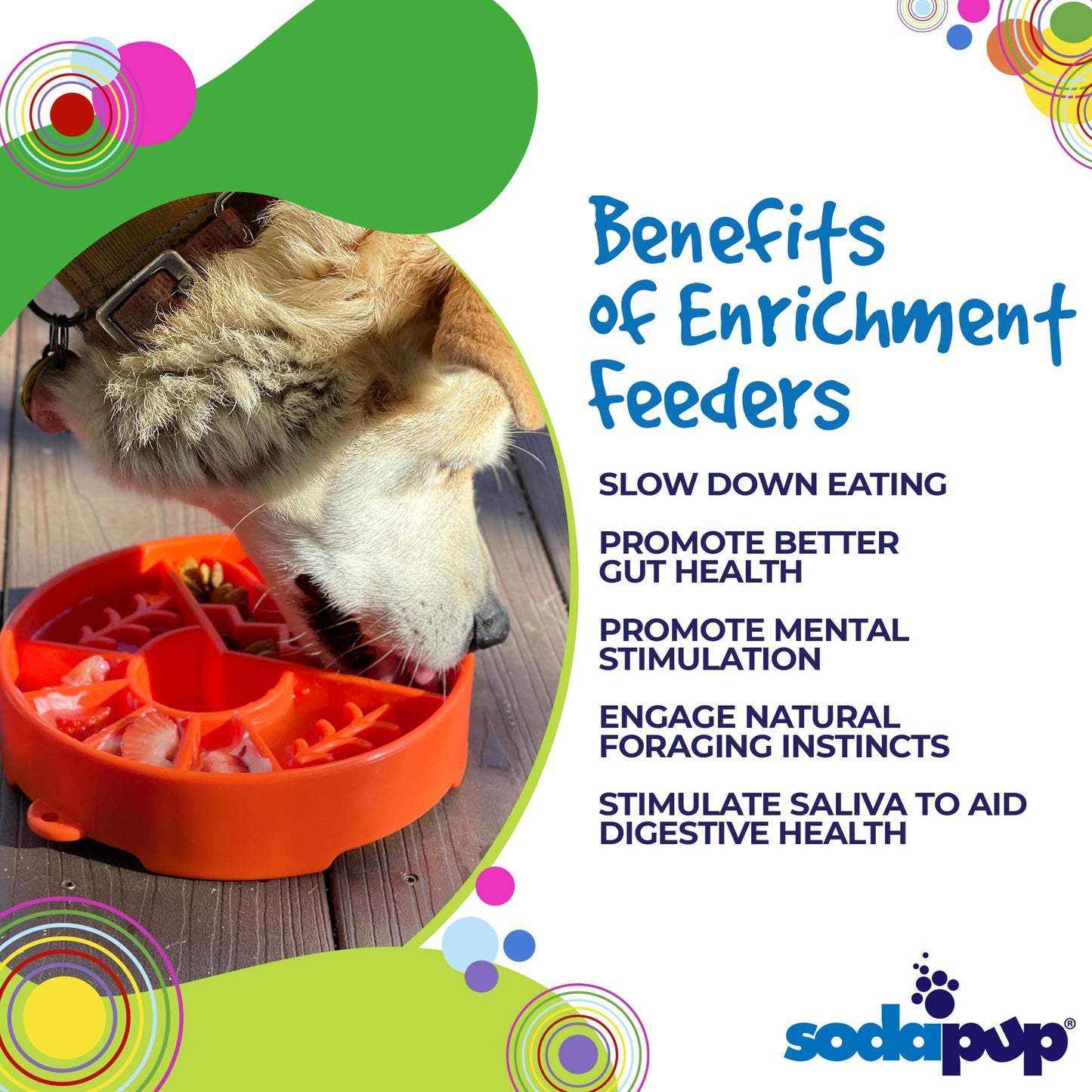 Slow Feeder Dog Bowl