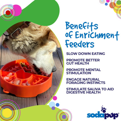 Slow Feeder Dog Bowl