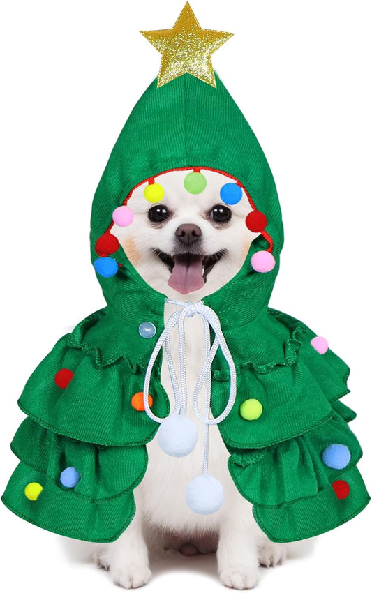 Cat Christmas Outfit