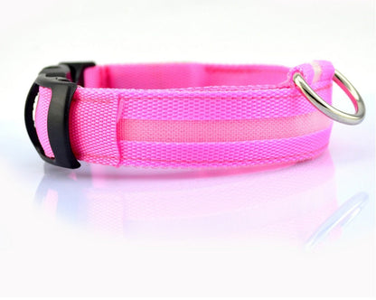 Glow in Dark Dog/Cat Leash