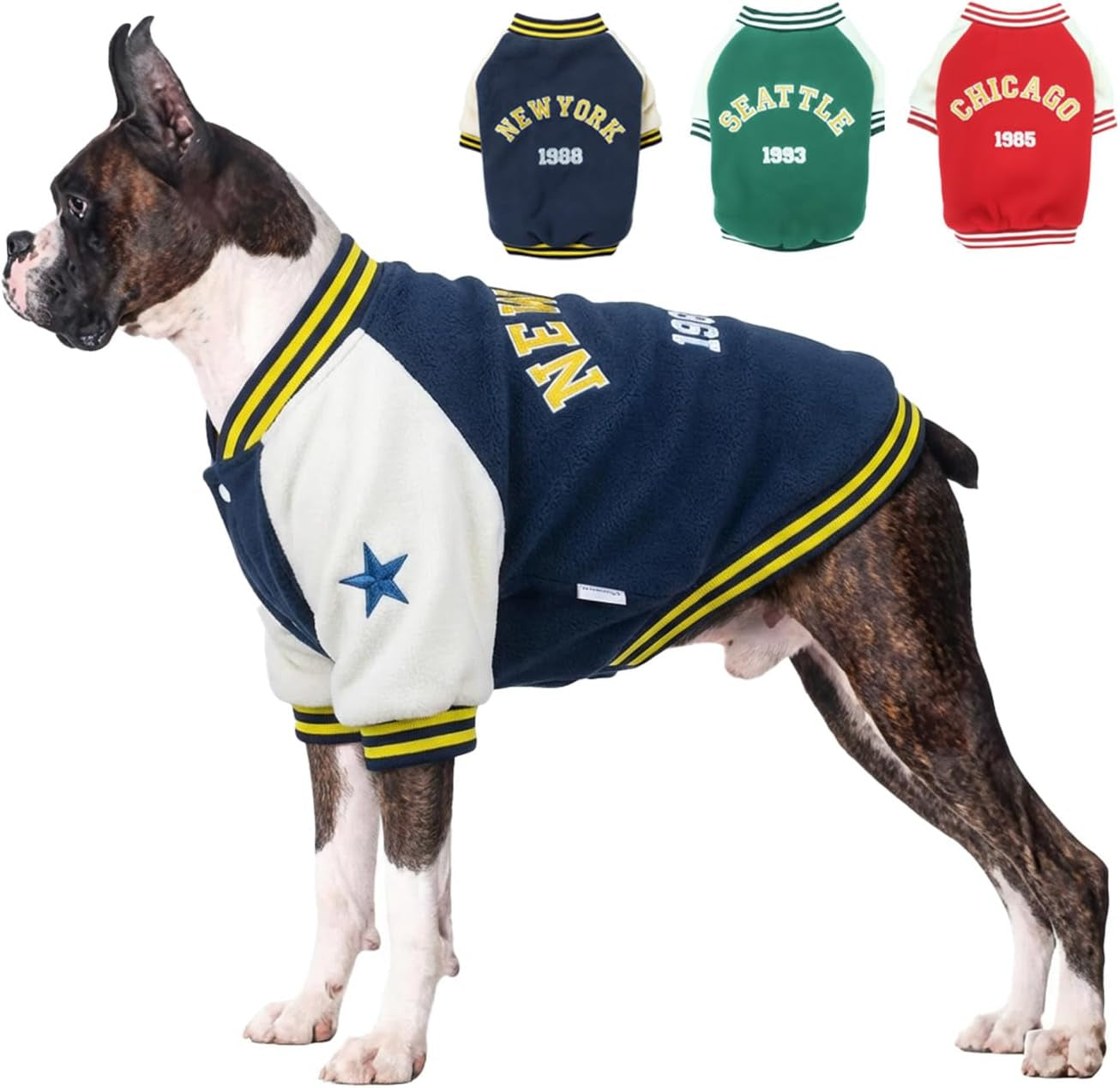 Warm Dog Varsity Jacket